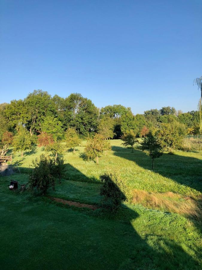 Ferien-apartment Haubentaucher Im Naturschutzgebiet Mit Privatstrand Apartment *