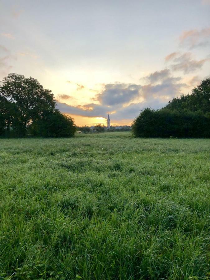 Ferien-apartment Haubentaucher Im Naturschutzgebiet Mit Privatstrand