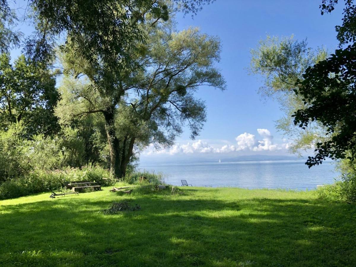 Ferien-apartment Haubentaucher Im Naturschutzgebiet Mit Privatstrand